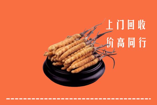 高价求购：唐河县回收散虫草