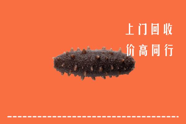 高价求购：唐河县回收海参