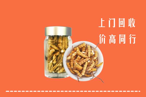 唐河县回收冬虫夏草